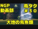 大地の鳥魚類【ゼルダの伝説 風のタクトHD】＃３０