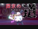 【ポケモン剣盾】鳴り響く鱗と探求の道