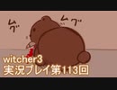 探し人を求めてwitcher3実況プレイ第113回