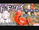 【ARK】ホロメンまとめ 2月13日分【フレア･みこ･るしあ･シオン】