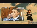 宗主国様がUFO戦闘機？□