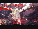 【MHW:IB】リオレイア希少種ソロハンマー簡単必勝攻略法