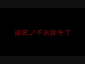 深夜の不法投棄Ⅶ
