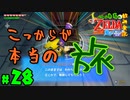 【小さな勇者の飲み実況】ゼルダの伝説 風のタクト HD part28【24歳フリーター】