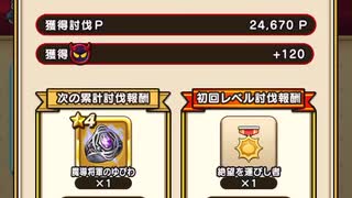 【DQW】特攻無　セルゲイナス　30レベル