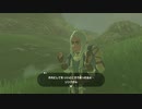 【Switch】リンクの記憶なしで成り行き旅【プレイ動画】part17