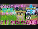 【実況】だまむのポケモン愛護のたび＃１１