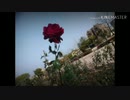 【歌ってみた】Who Klied U.N.Owen〔美結〕