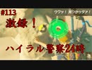 【趣味】拙いですがパンツでマスターになる【ゼルダの伝説ブレスオブザワイルド】pants113