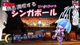 夜も満喫するシンガポール #0 東京の夜も満喫する