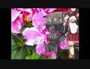 試製MAD鳥籠in this KanColle