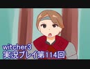 探し人を求めてwitcher3実況プレイ第114回