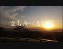 空も飛べるはず/スピッツ（cover）朝右弾き語り