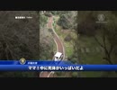 ママ！死体がいっぱいだよ！