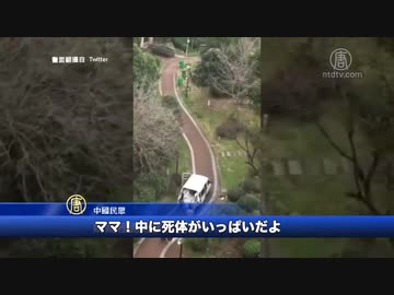 ママ！死体がいっぱいだよ！