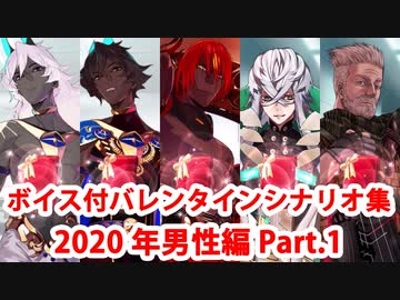 【ボイス・差分あり】【FGO】バレンタインイベント ミニシナリオまとめ 男性編(2020年新規・全13騎) (1/3)【Fate/Grand Order】