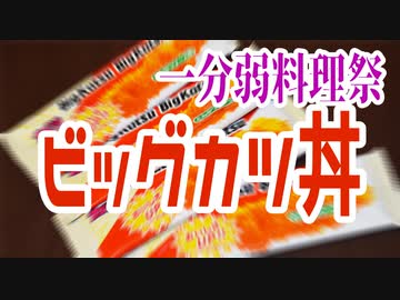【一分弱料理祭】貧しい琴葉姉妹とビッグなカツ丼