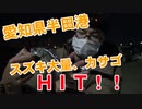 【釣り動画】愛知県半田港でスズキ、カサゴがHIT！しました！