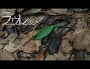 ラウレル　歌ってみました