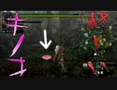 狩猟対象はキノコだった【MHP2G】#38