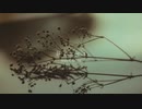 【歌ってみた】Bract