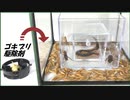 「生物濃縮」してみたら、凄まじい結果になった。