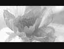 【辺音ライア♂】Paper Flower【UTAUカバー】
