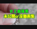 【ありの飼育記#124】女王蟻探索でカットした動画集