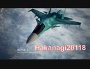 Ace Combat 7 Extra213 バトルロイヤル ハカナギ氏とのタイマン総集編