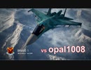 Ace Combat 7 Extra214 バトルロイヤル OPAL氏とのタイマン総集編