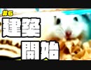 『ハムスターの巣作り動画　6日目』の巻 #6