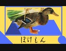 ポケモン剣盾にポケモン赤実況で挑む漢Part13