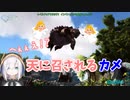 天に召されるカメを見送るアルス・アルマル