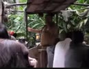 のまさんち「ジャングルクルーズ@アメリカ　カリフォルニアのディズニーパーク.wmv」