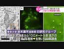 「常識覆す成果」海底地下の岩から微生物 東大グループが発見