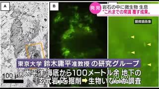 「常識覆す成果」海底地下の岩から微生物 東大グループが発見