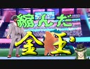 現代ポケモン研究家花畑チャイカとできるだけ短くしようと努力した研究報告まとめ１（前半）