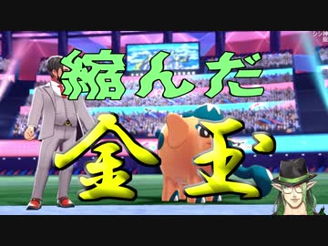 現代ポケモン研究家花畑チャイカとできるだけ短くしようと努力した研究報告まとめ１（前半）
