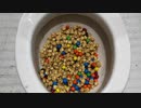M&M'sとポップコーンをトイレに流してみた３