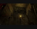 ホラゲほぼ未プレイがホラー耐性0の友人とがんばるバイオ7 その15