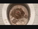M&M'sとチョコレートのアイスクリームをトイレに流してみた