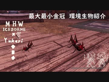 【MHWI】環境生物最大最小金冠紹介20暴君バッタ
