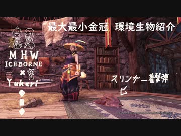 【MHWI】環境生物最大最小金冠紹介22ヘイタイカブトガニ