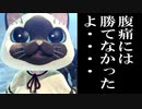 MHP2G勢がMHWIやってみた　その60