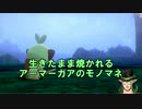 現代ポケモン研究家花畑チャイカとできるだけ短くしようと努力した研究報告まとめ１（後半）