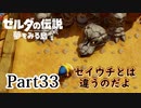 求むー「ゼル伝」のプロー【ゼルダの伝説　夢をみる島】 part33