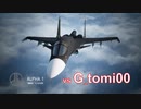 Ace Combat 7 Extra216 バトルロイヤル G_tomi氏とのタイマン総集編