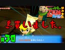 【小さな勇者の飲み実況】ゼルダの伝説 風のタクト HD part30【24歳フリーター】
