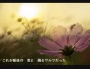 コスモス／コーリー・ジェイ(CØRY/J) feat. GUMI