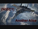 Ace Combat 7 Multiplayer651 バトルロイヤル Su-34
